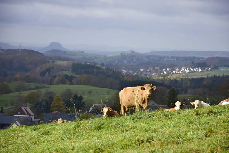 Blick Richtung Erzgebirge